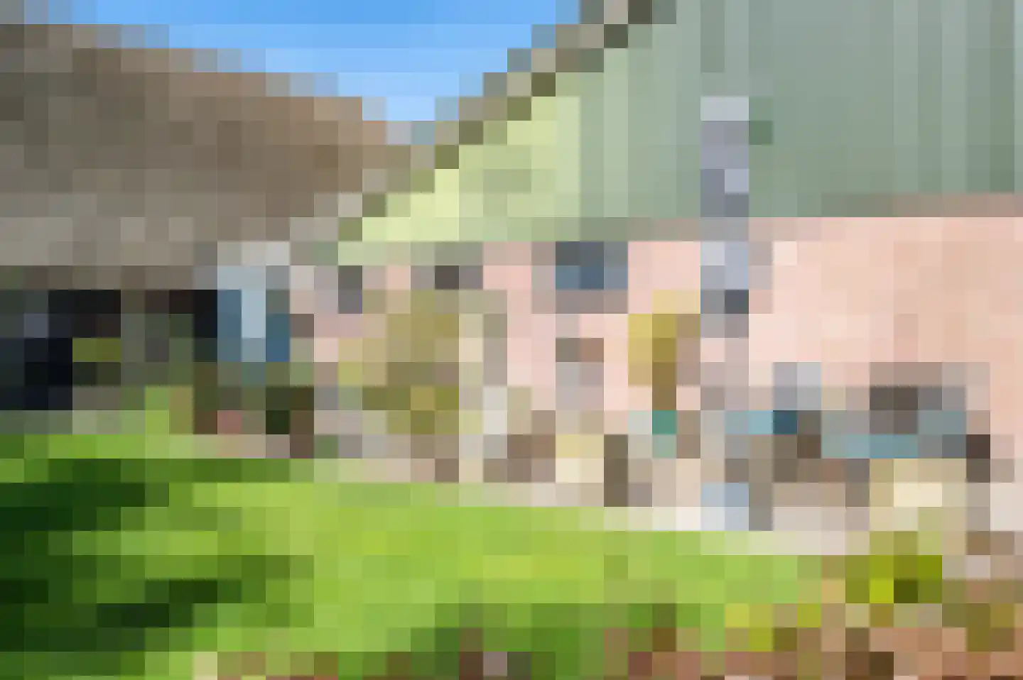 Stroovledder 6 Dwingeloo thumbnail 29