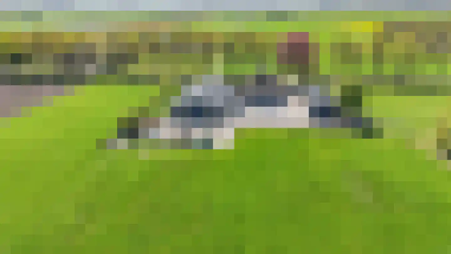Stroovledder 6 Dwingeloo thumbnail 31