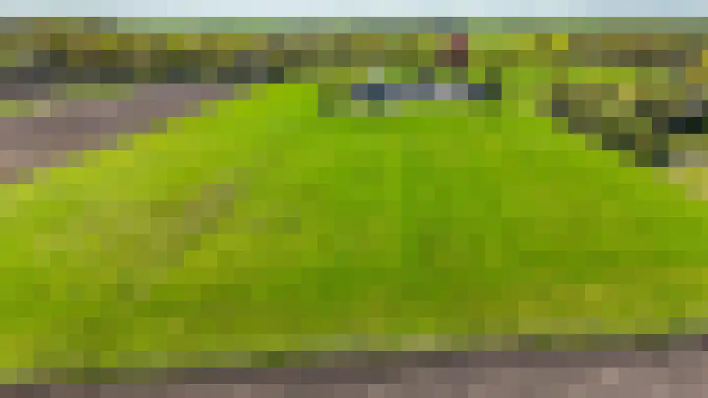Stroovledder 6 Dwingeloo thumbnail 32