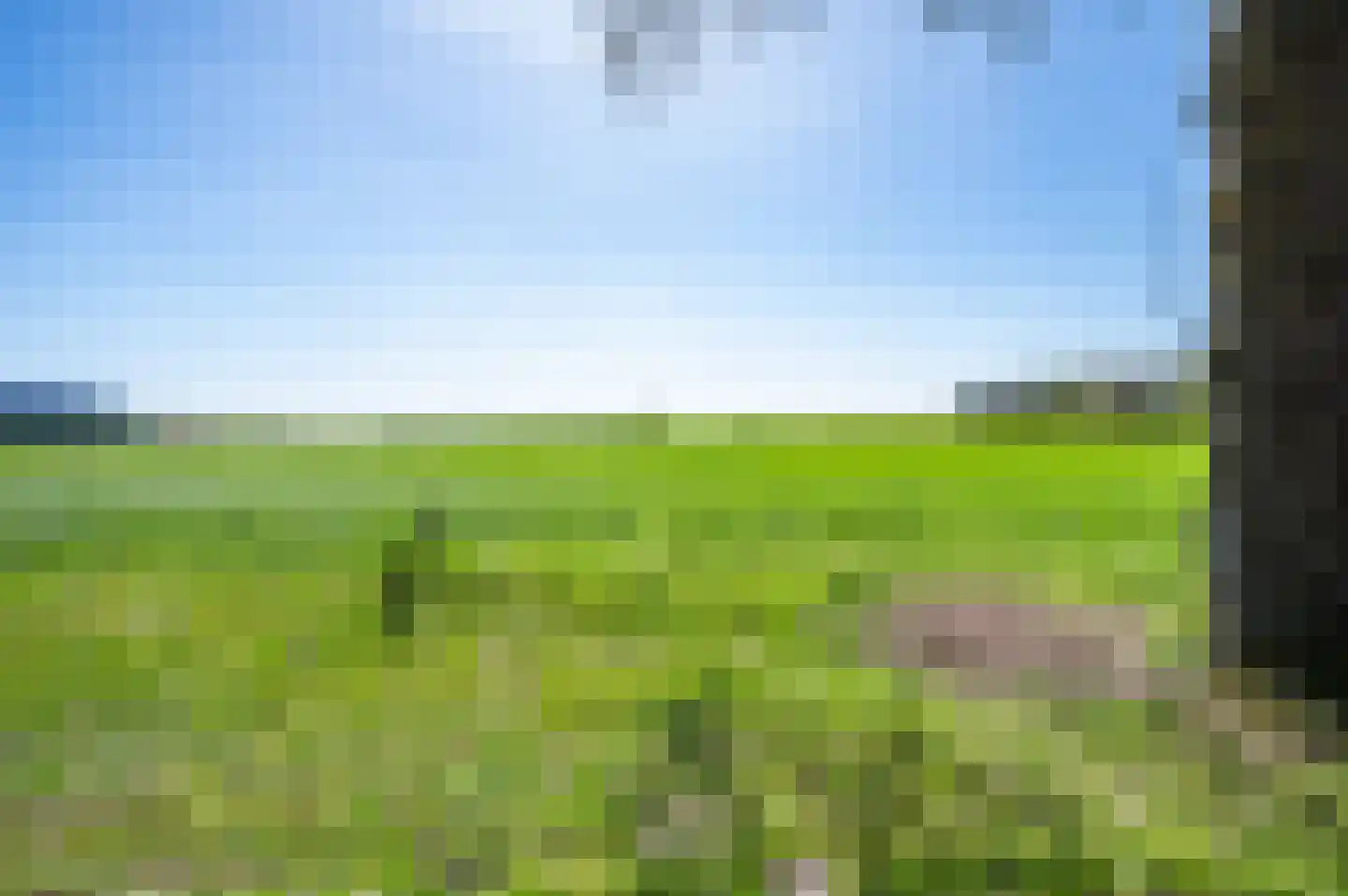 Stroovledder 6 Dwingeloo thumbnail 33