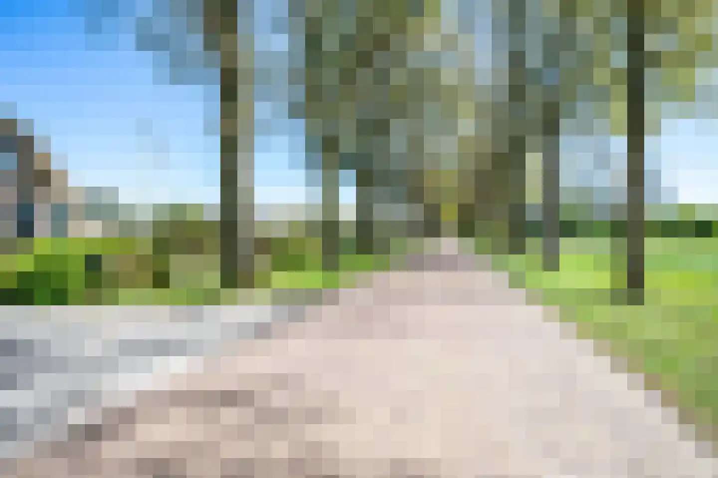 Stroovledder 6 Dwingeloo thumbnail 34