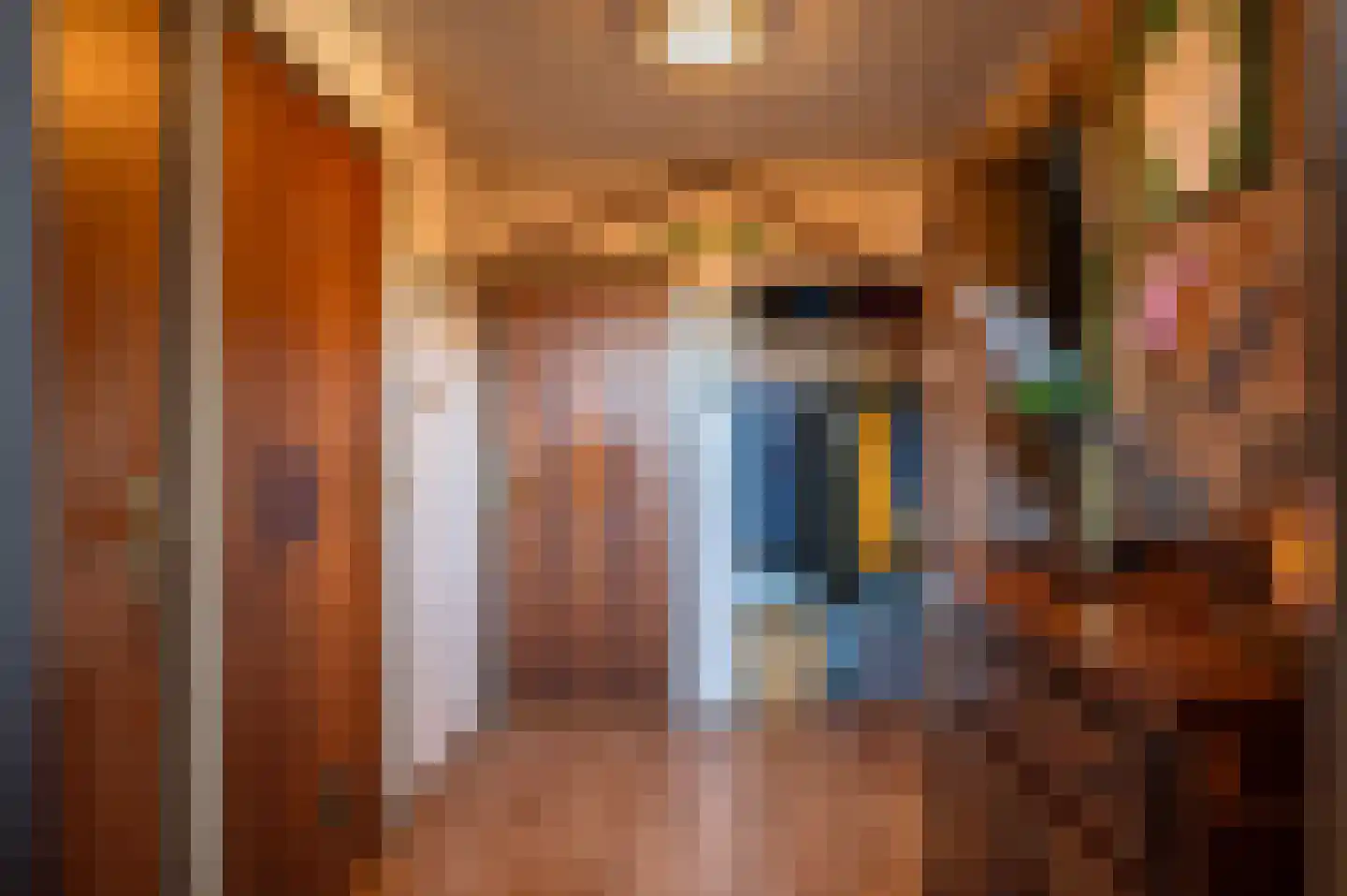 Stroovledder 6 Dwingeloo thumbnail 4