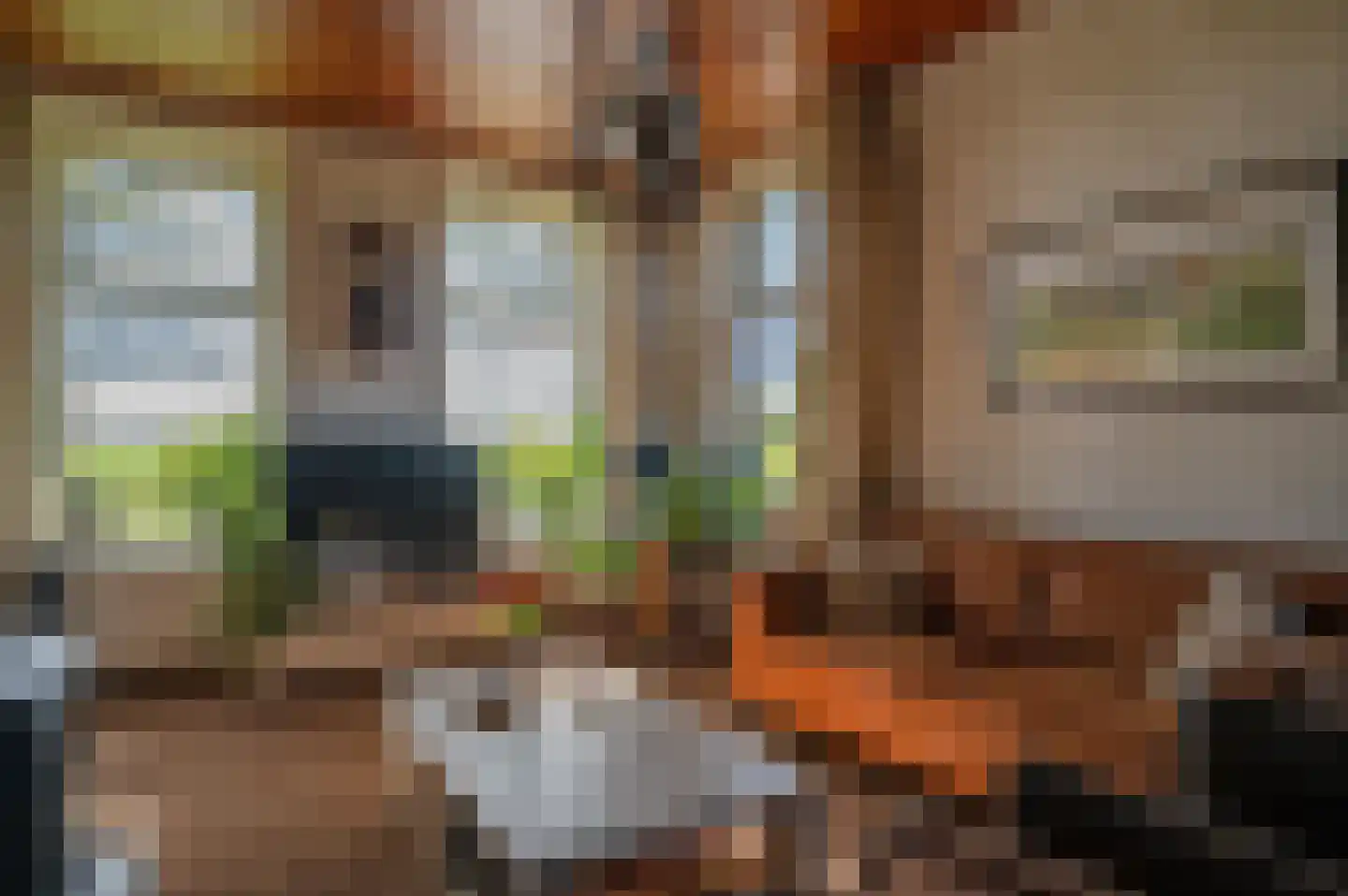 Stroovledder 6 Dwingeloo thumbnail 5