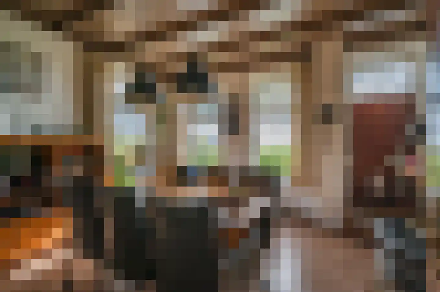 Stroovledder 6 Dwingeloo thumbnail 6