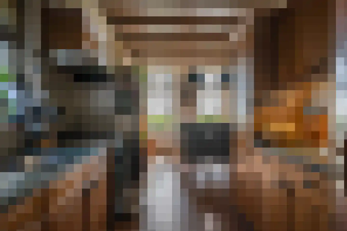 Stroovledder 6 Dwingeloo thumbnail 7