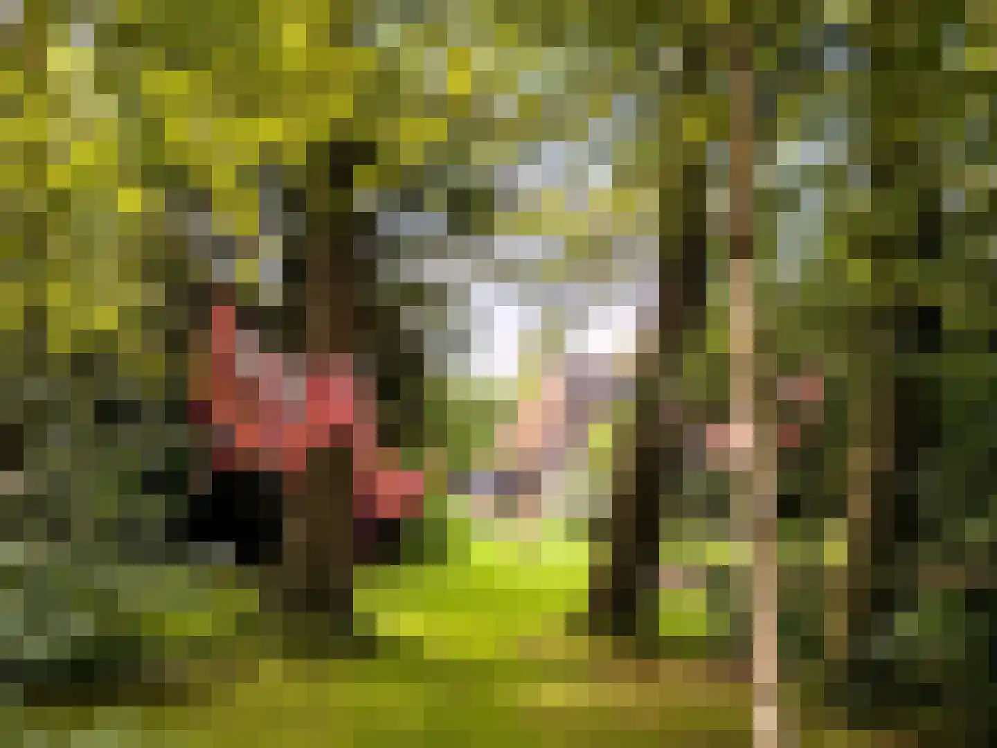 Stroovledder 9 Dwingeloo thumbnail 10