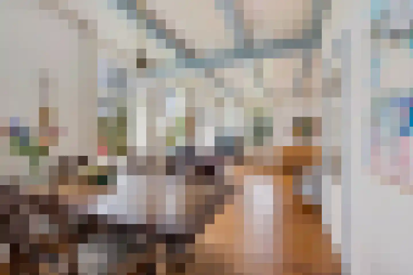 Stroovledder 9 Dwingeloo thumbnail 14