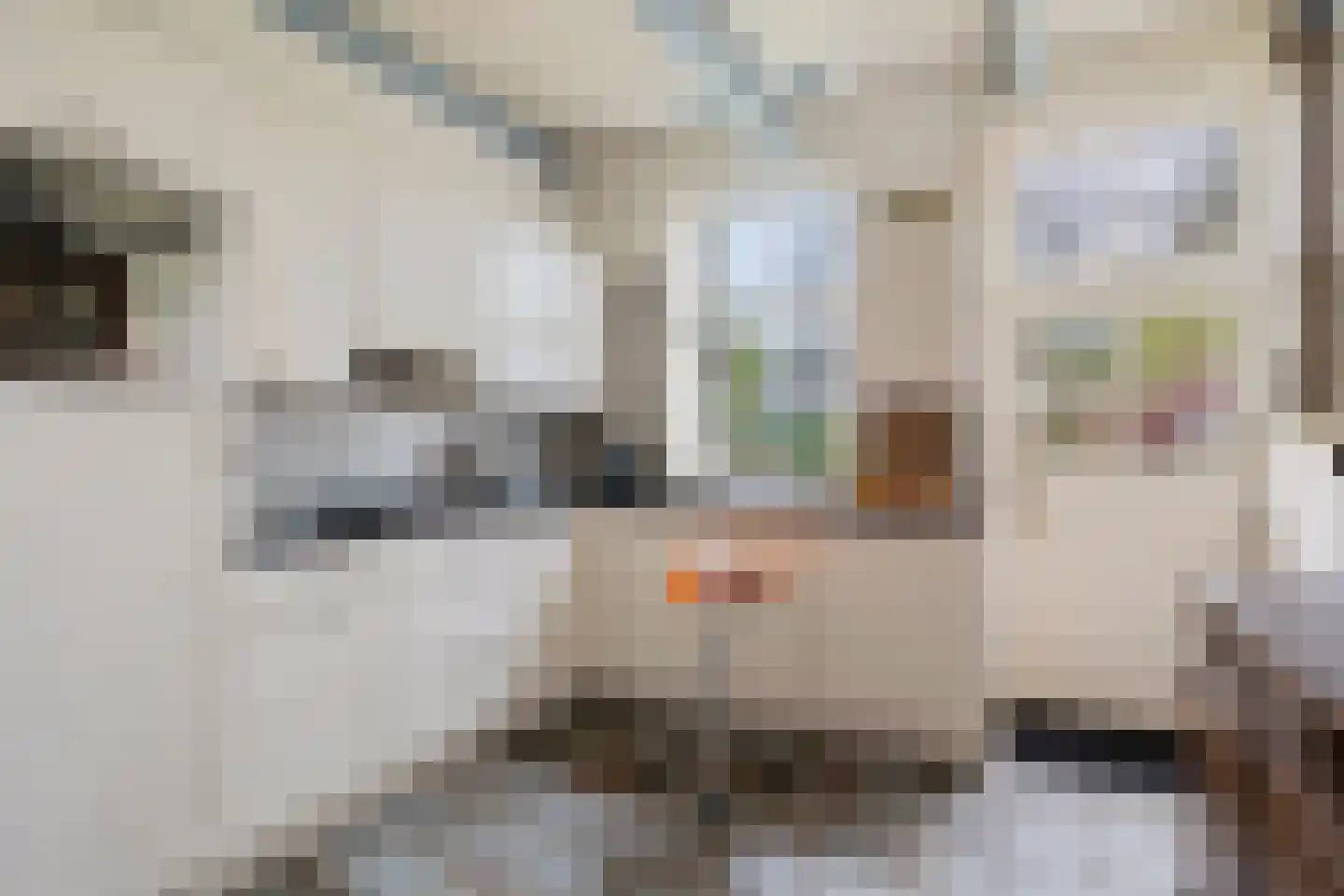 Stroovledder 9 Dwingeloo thumbnail 15