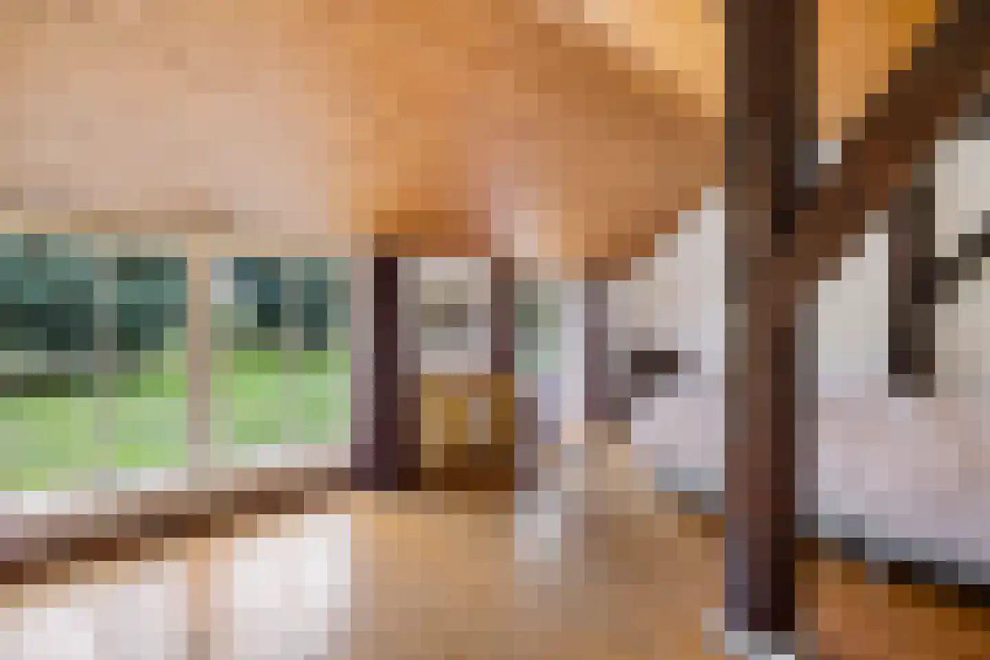 Stroovledder 9 Dwingeloo thumbnail 16