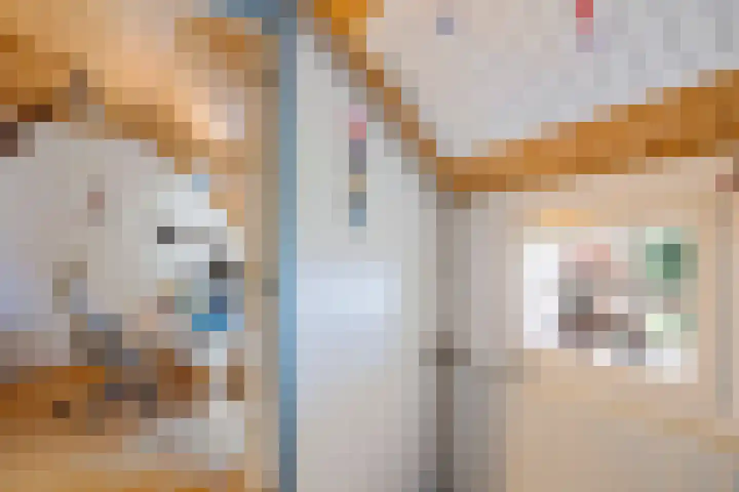 Stroovledder 9 Dwingeloo thumbnail 18
