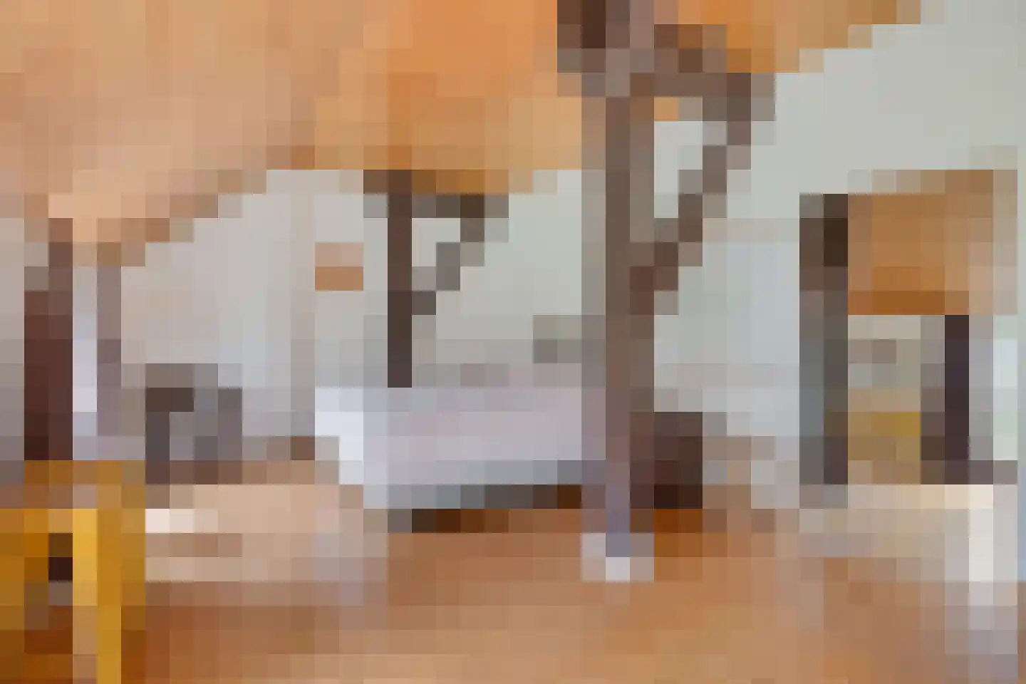Stroovledder 9 Dwingeloo thumbnail 18