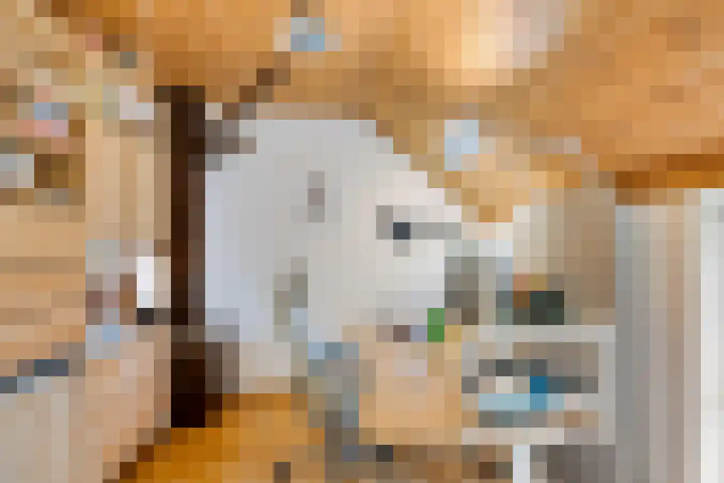 Stroovledder 9 Dwingeloo thumbnail 19
