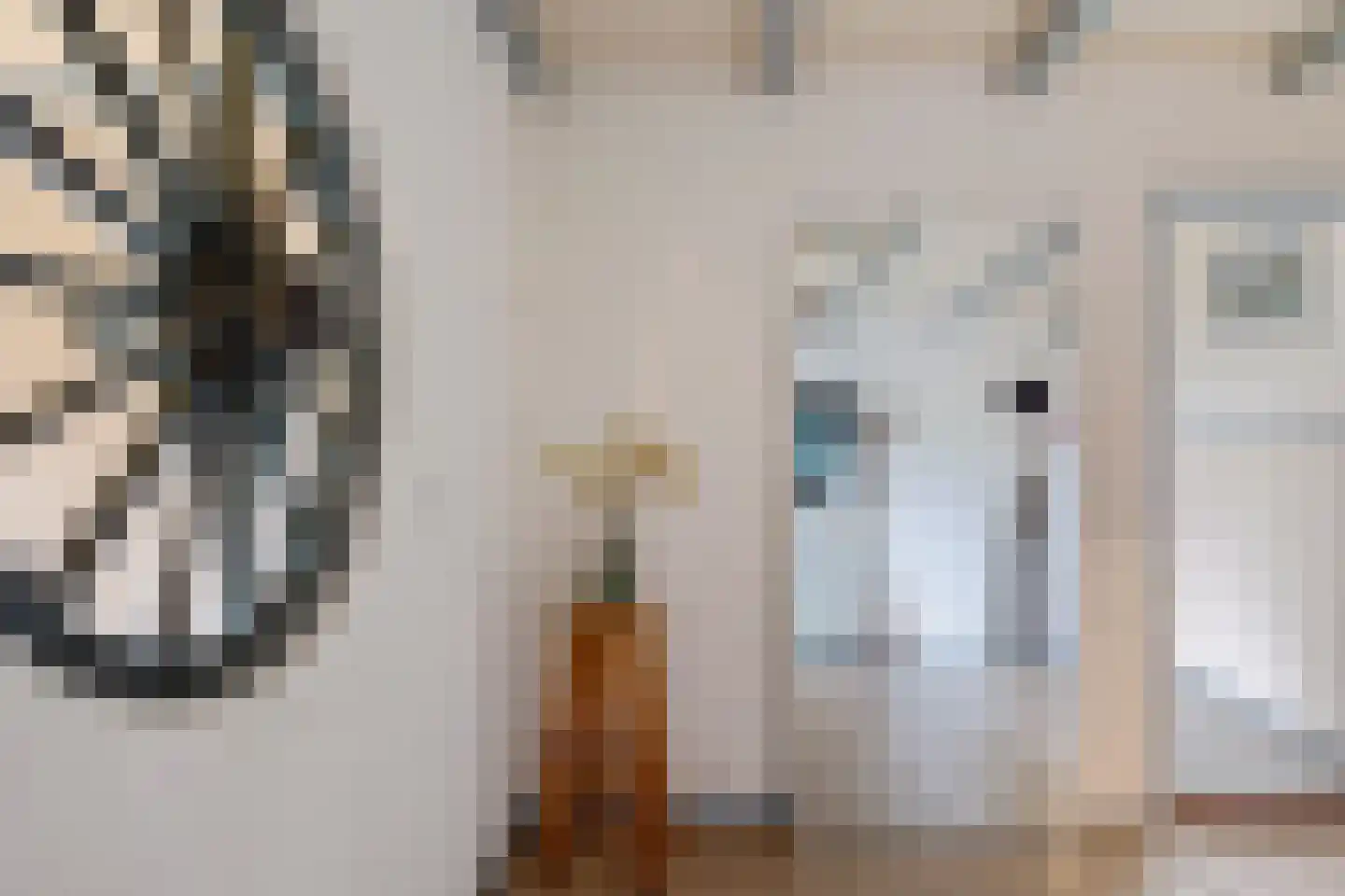 Stroovledder 9 Dwingeloo thumbnail 20