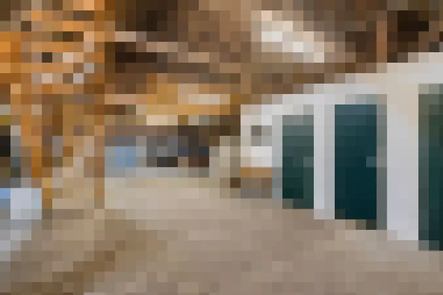 Stroovledder 9 Dwingeloo thumbnail 25
