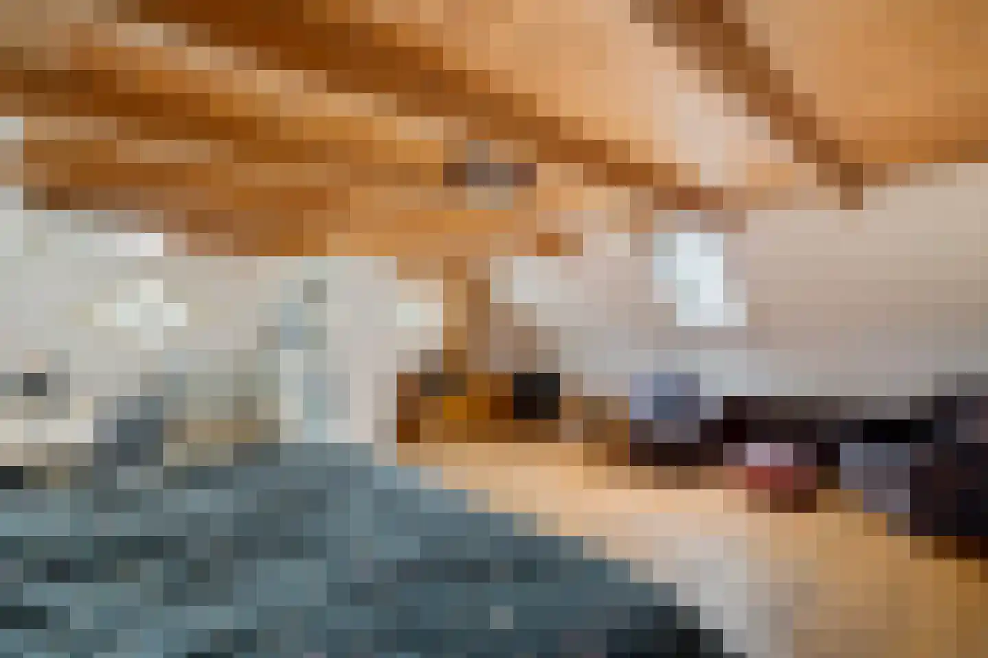 Stroovledder 9 Dwingeloo thumbnail 27