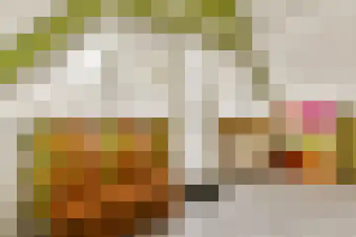 Stroovledder 9 Dwingeloo thumbnail 28