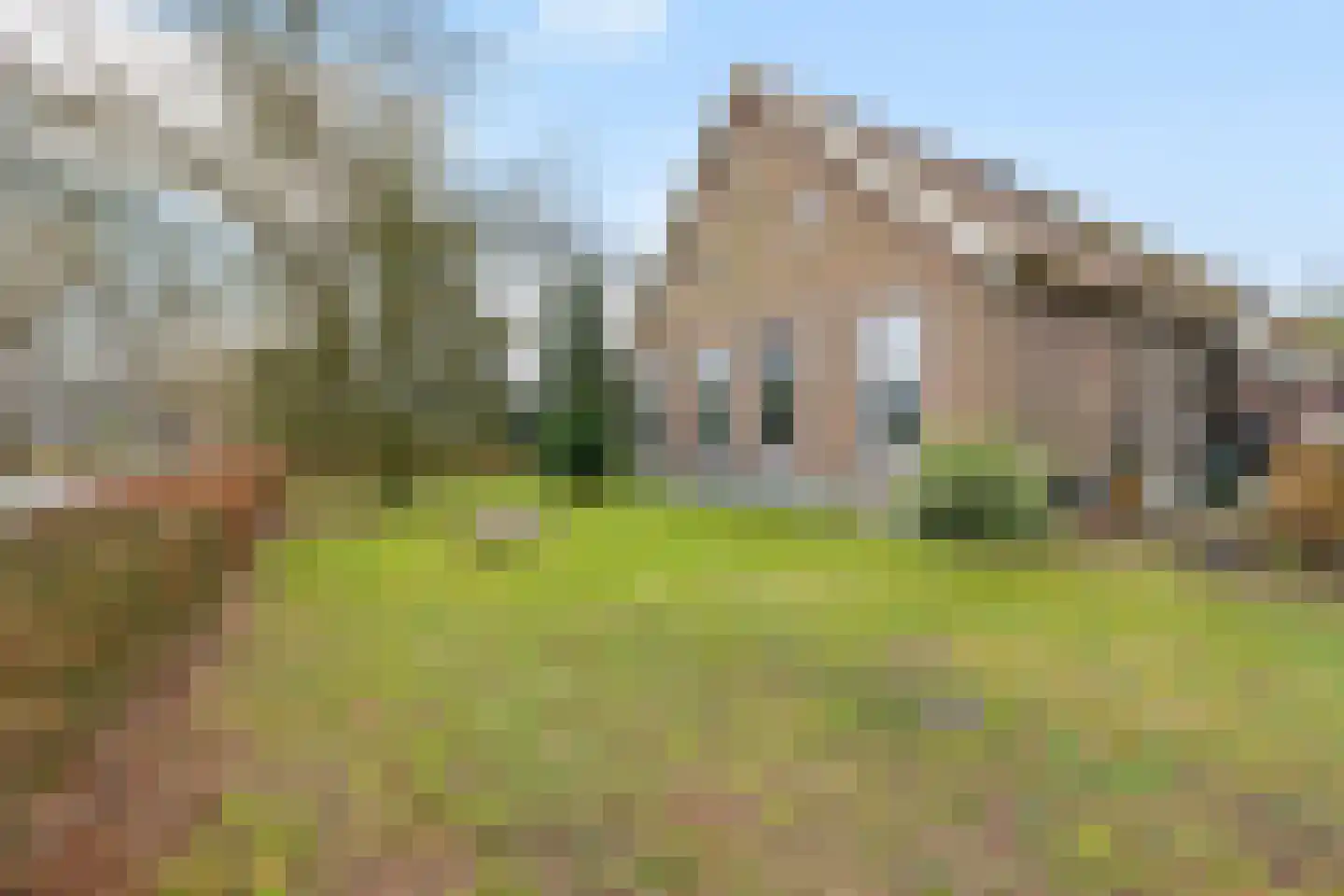 Stroovledder 9 Dwingeloo thumbnail 31