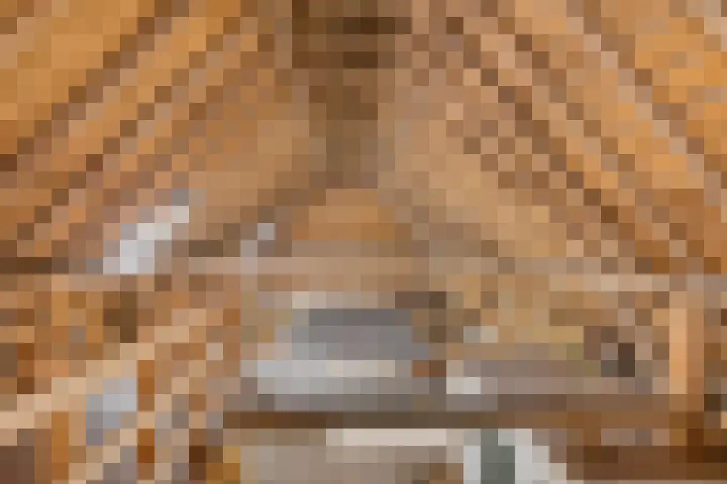 Stroovledder 9 Dwingeloo thumbnail 33