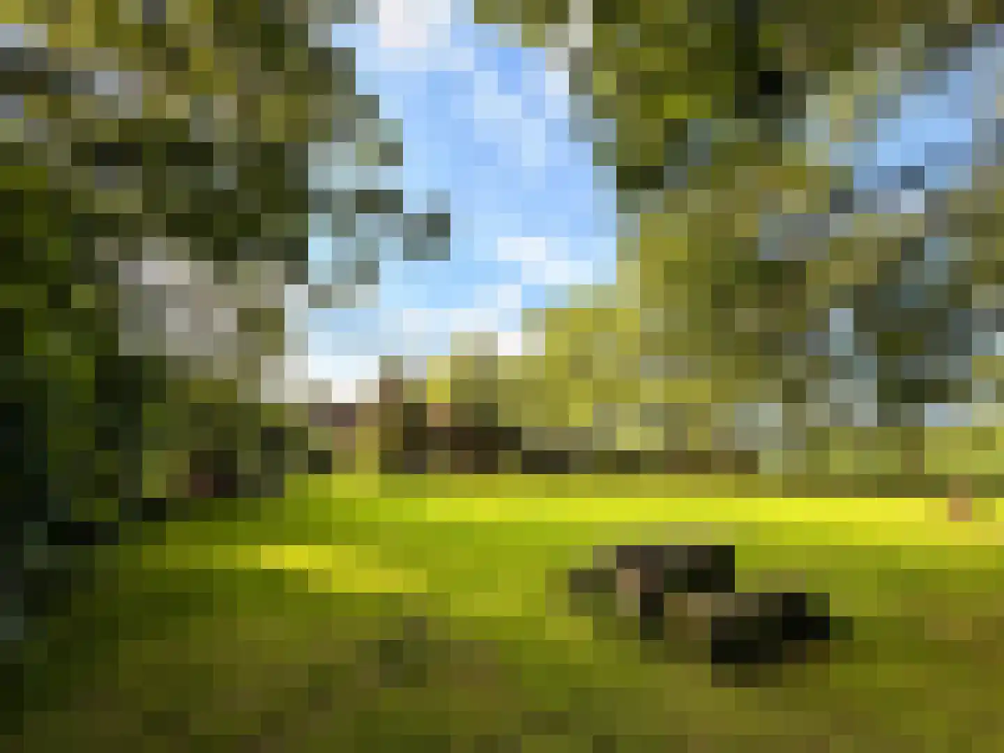 Stroovledder 9 Dwingeloo thumbnail 35