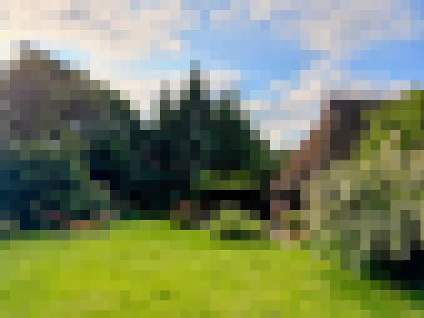 Stroovledder 9 Dwingeloo thumbnail 36