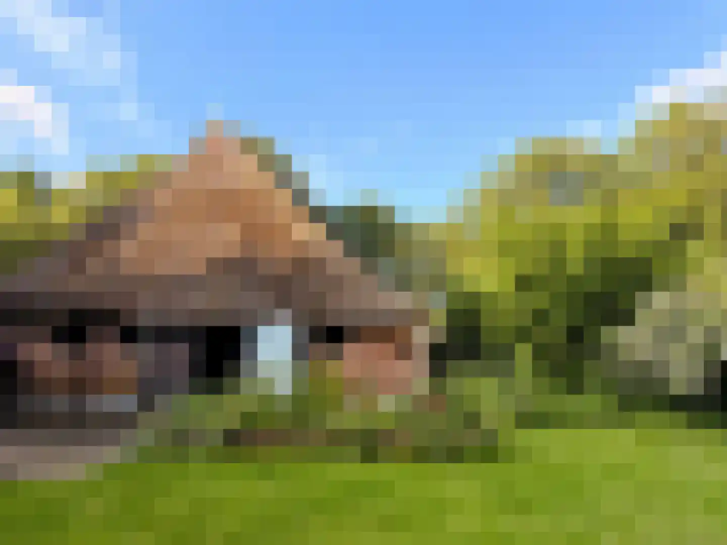 Stroovledder 9 Dwingeloo thumbnail 37