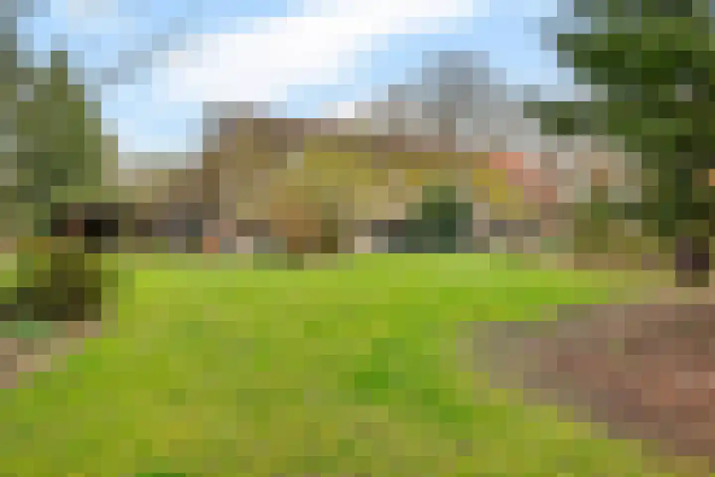 Stroovledder 9 Dwingeloo thumbnail 39