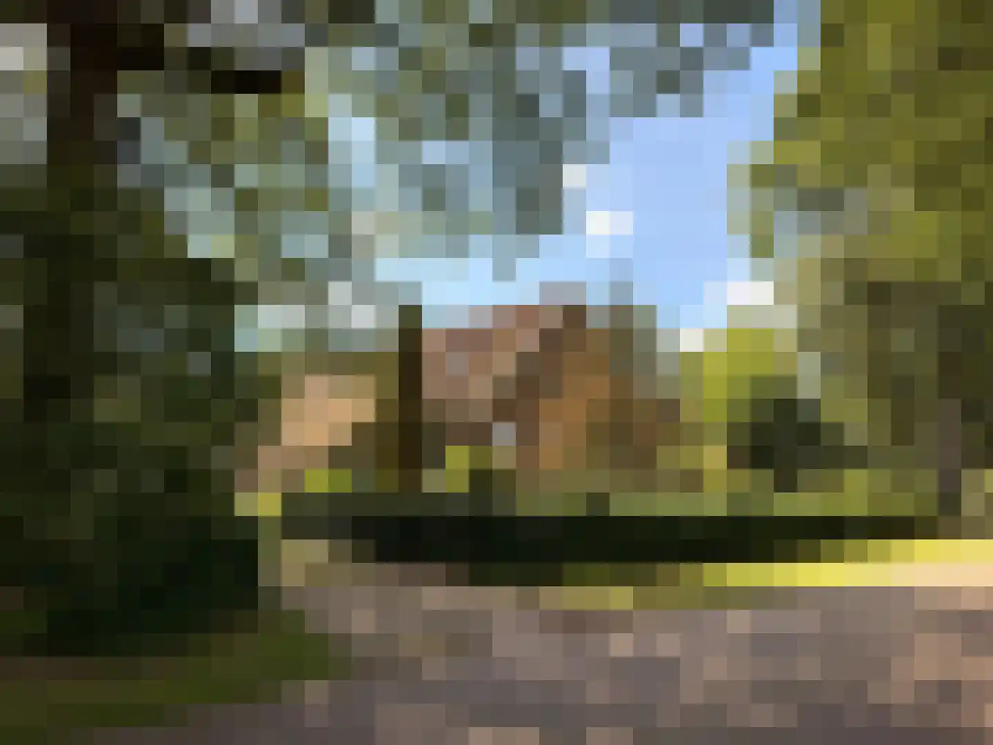 Stroovledder 9 Dwingeloo thumbnail 4