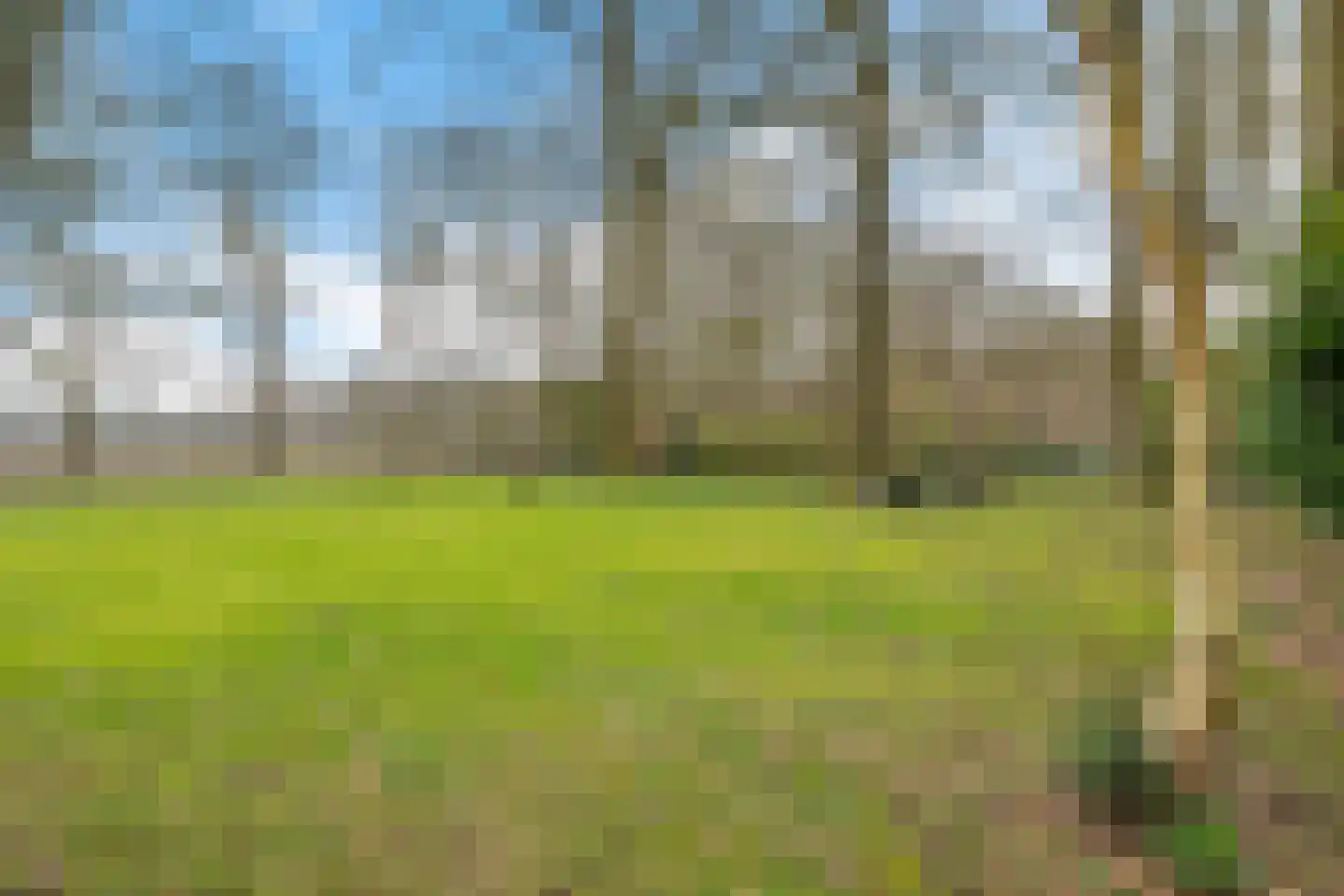 Stroovledder 9 Dwingeloo thumbnail 40