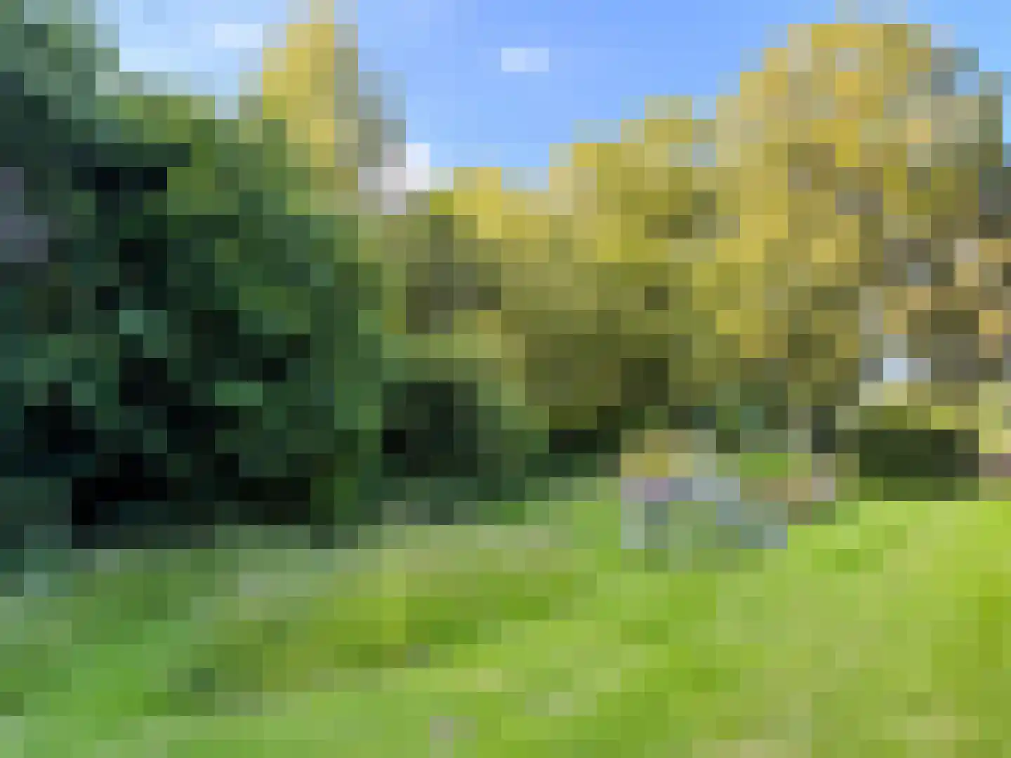 Stroovledder 9 Dwingeloo thumbnail 40