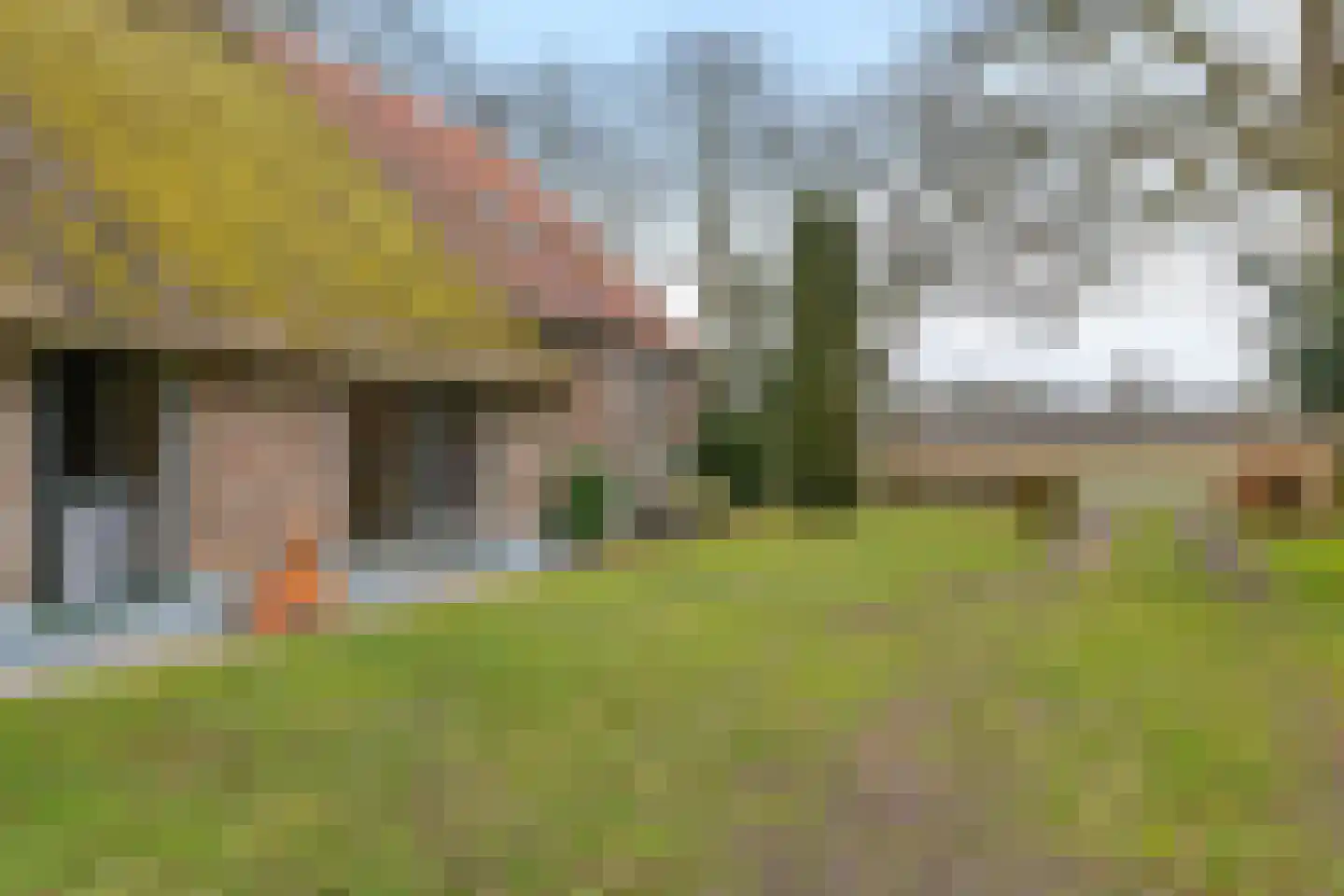 Stroovledder 9 Dwingeloo thumbnail 42