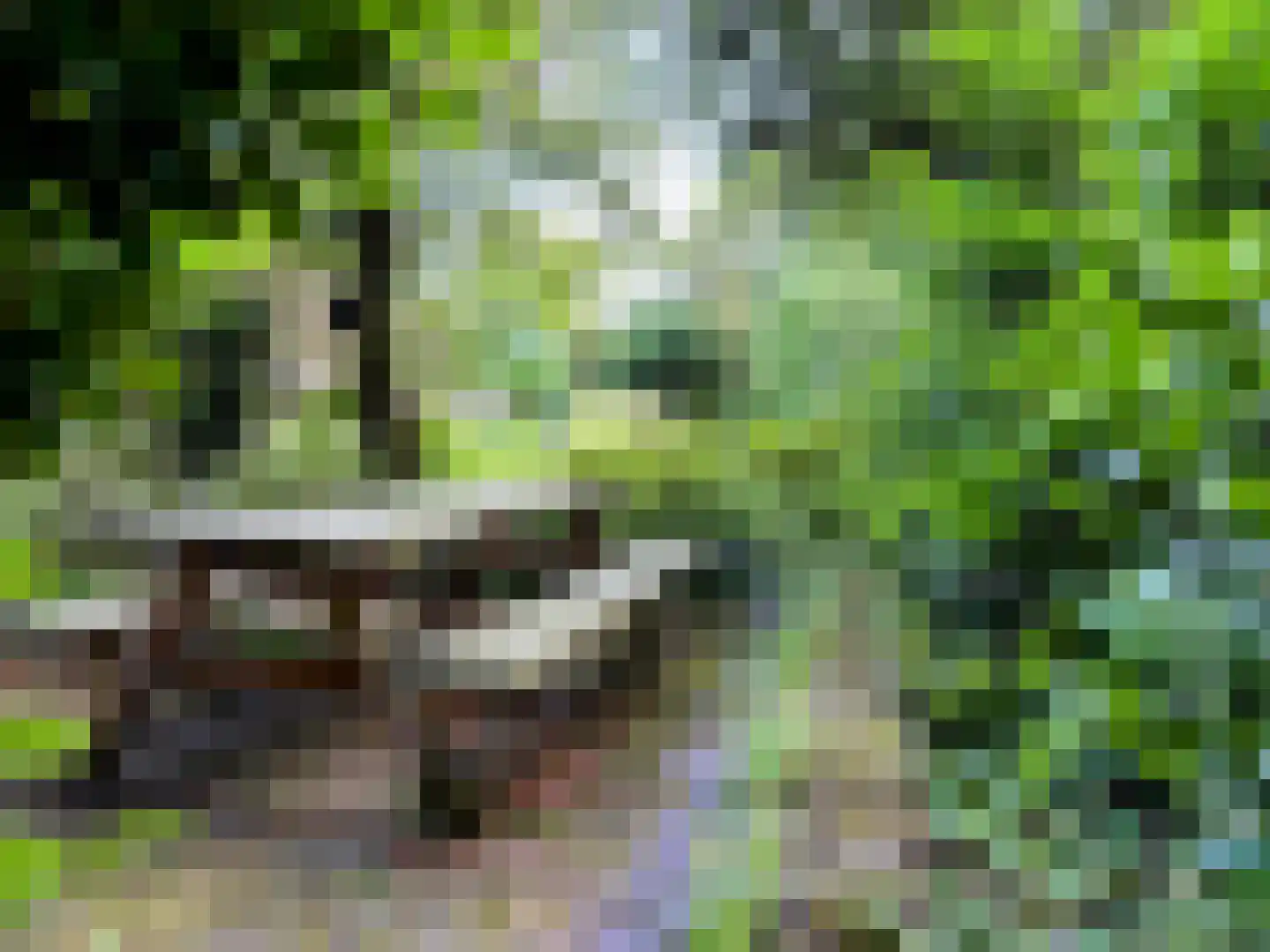 Stroovledder 9 Dwingeloo thumbnail 44