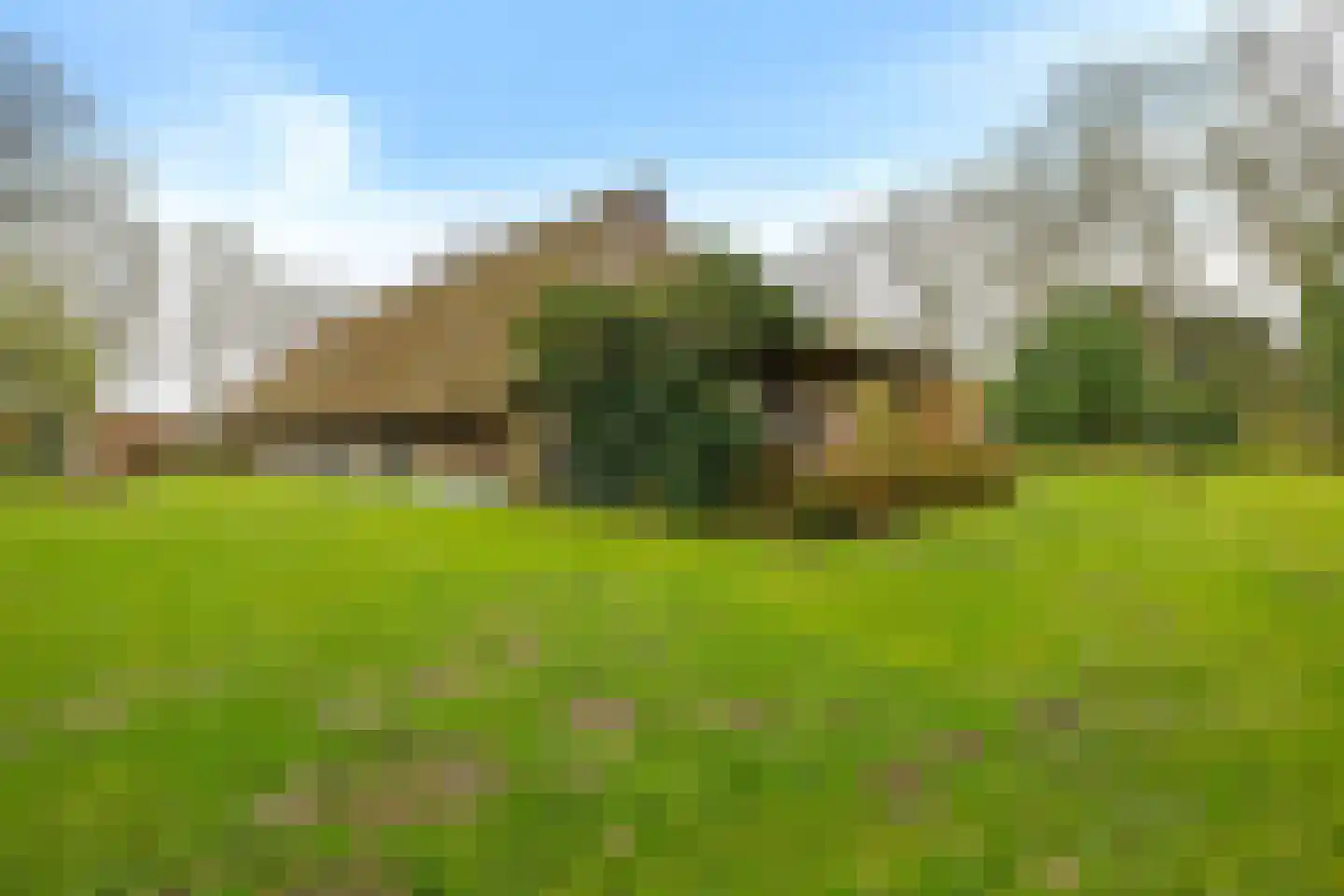 Stroovledder 9 Dwingeloo thumbnail 44