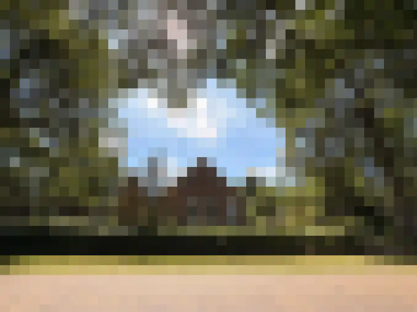 Stroovledder 9 Dwingeloo thumbnail 45
