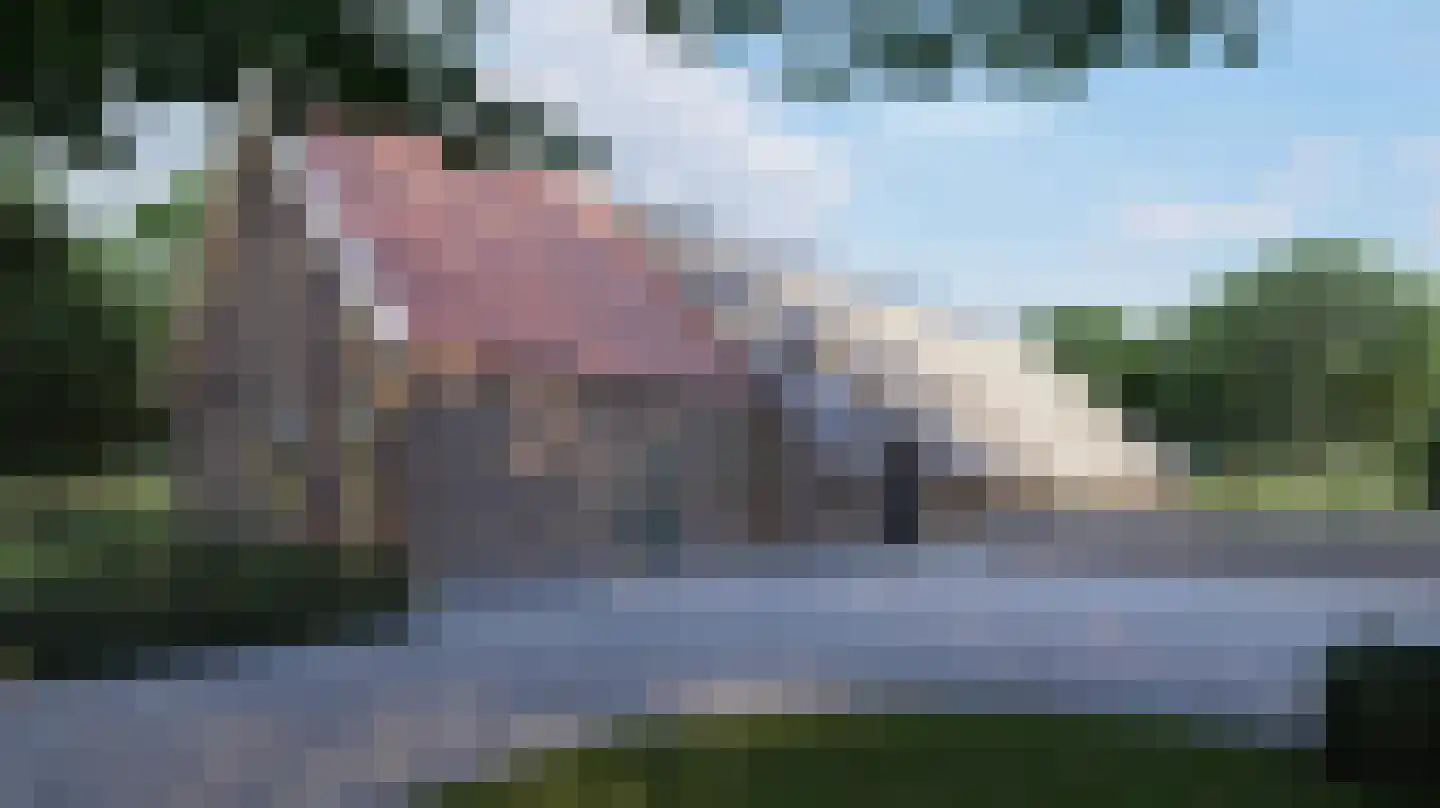 Stroovledder 9 Dwingeloo thumbnail 47