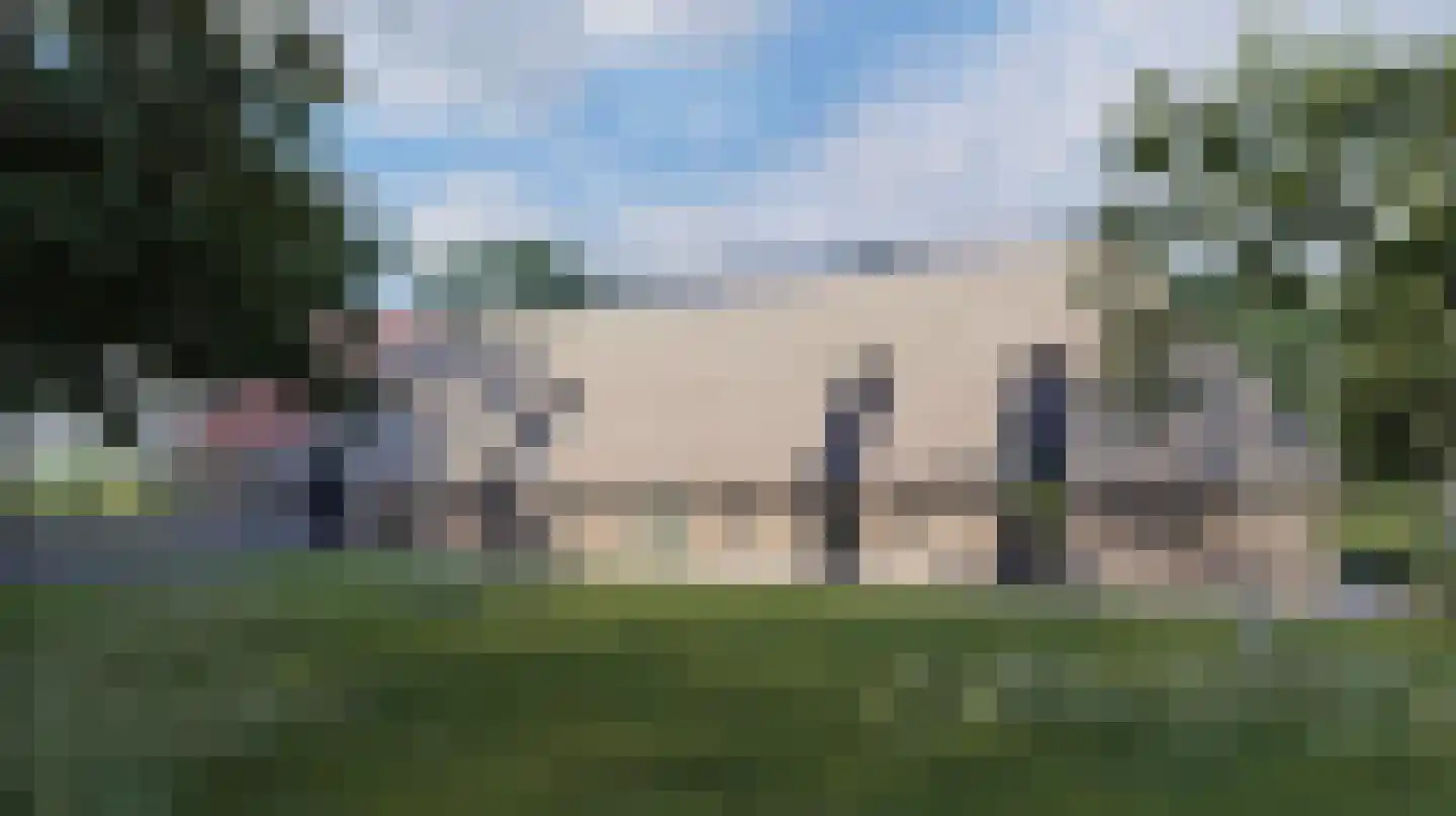 Stroovledder 9 Dwingeloo thumbnail 48