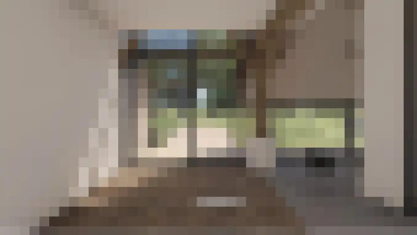 Stroovledder 9 Dwingeloo thumbnail 49