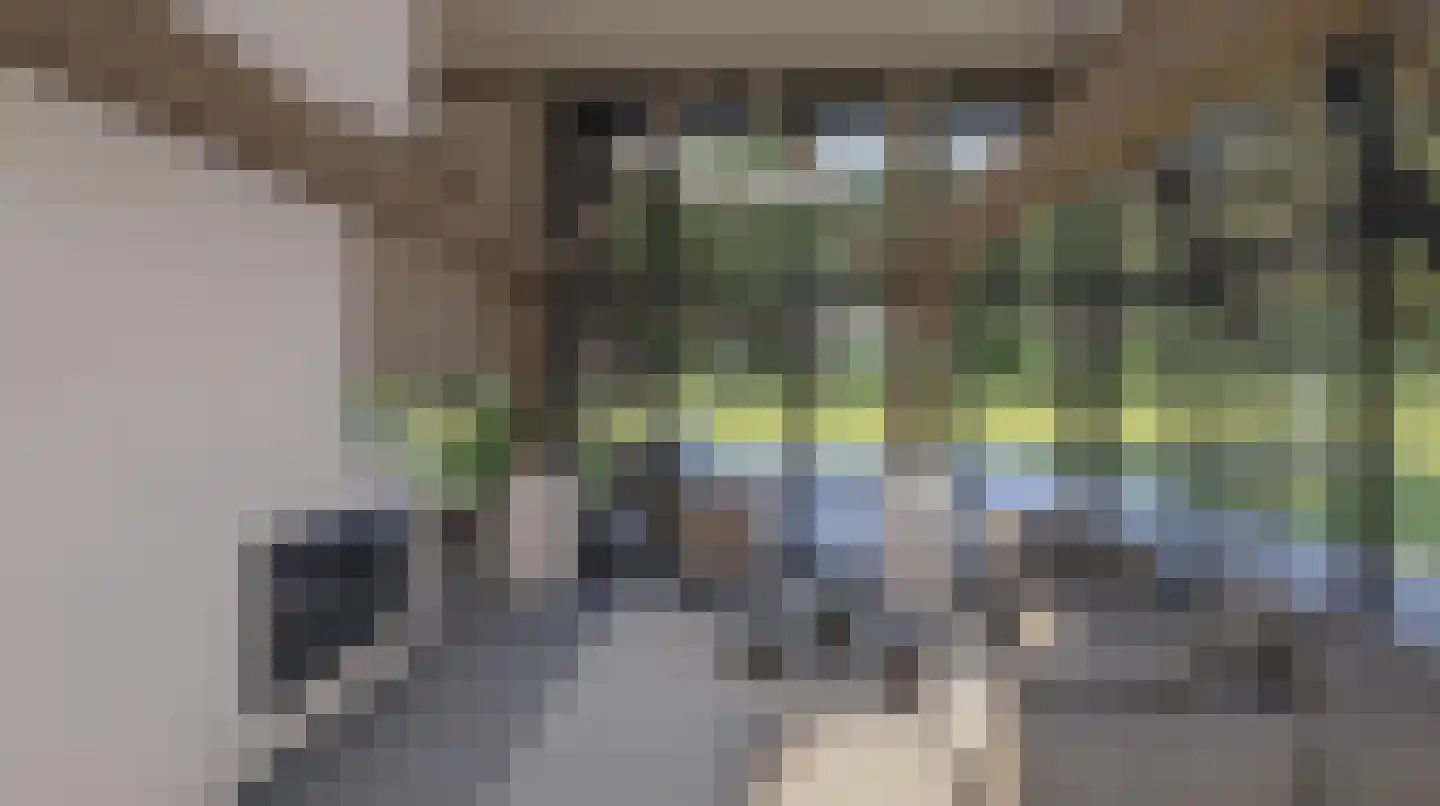 Stroovledder 9 Dwingeloo thumbnail 50