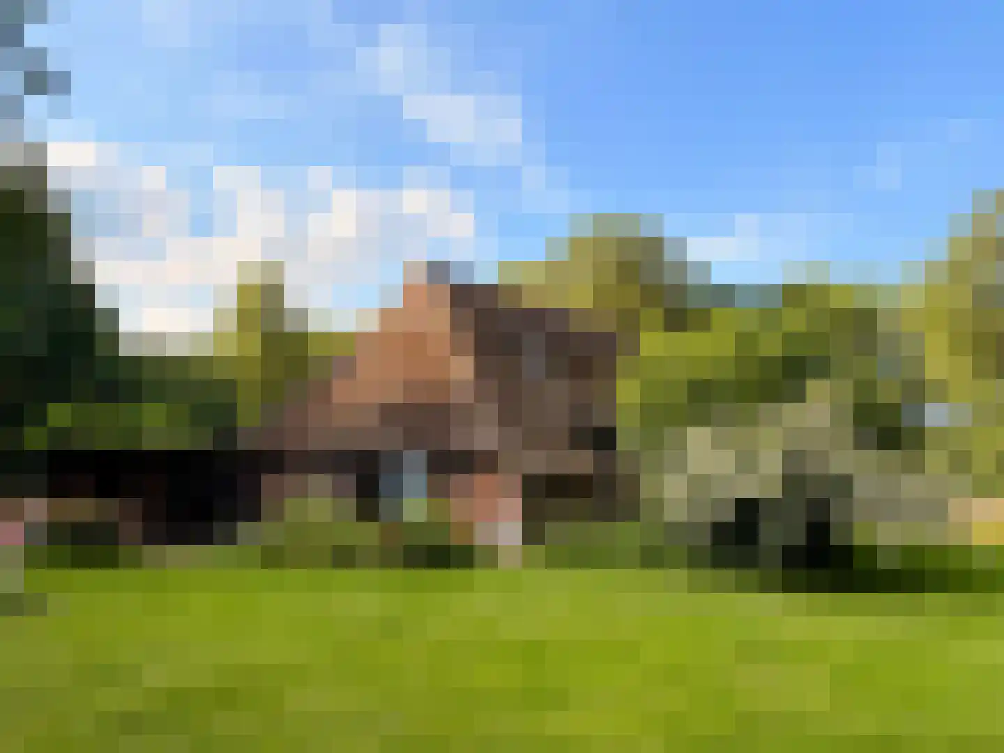 Stroovledder 9 Dwingeloo thumbnail 6