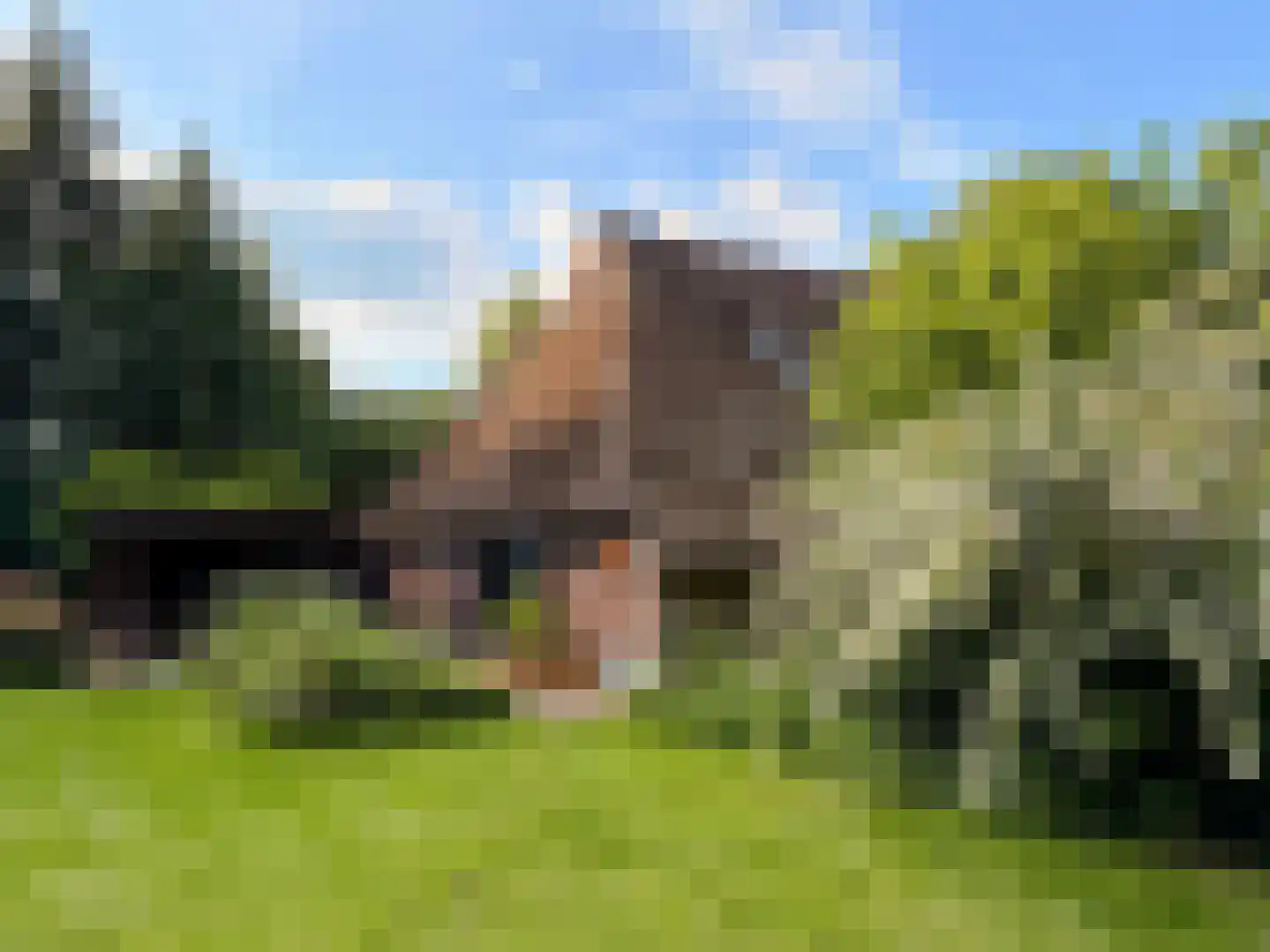 Stroovledder 9 Dwingeloo thumbnail 7