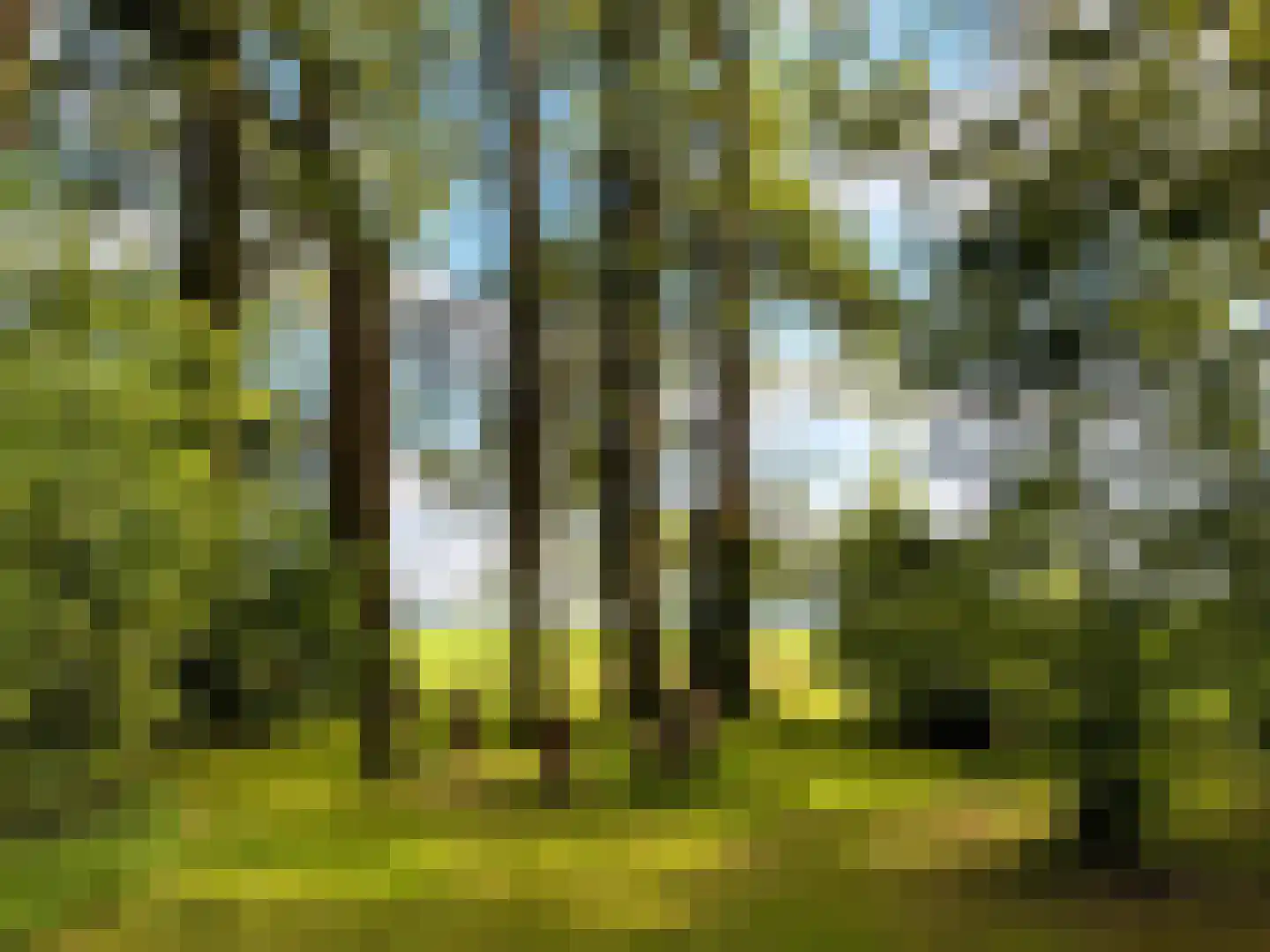 Stroovledder 9 Dwingeloo thumbnail 8