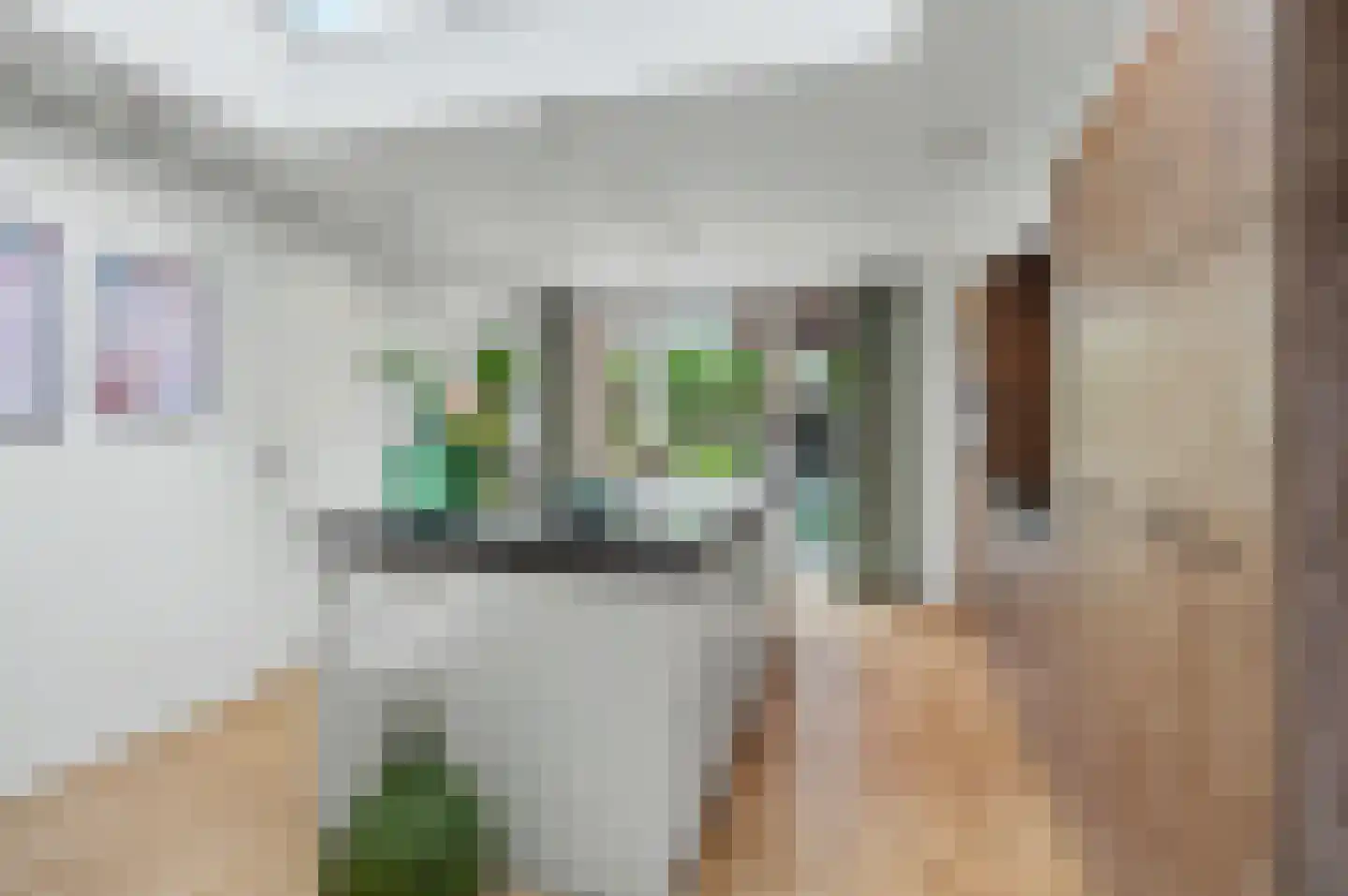 Stropersberg 5 Veldhoven thumbnail 15