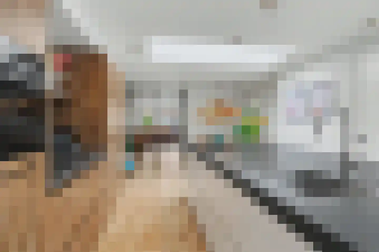 Stropersberg 5 Veldhoven thumbnail 16