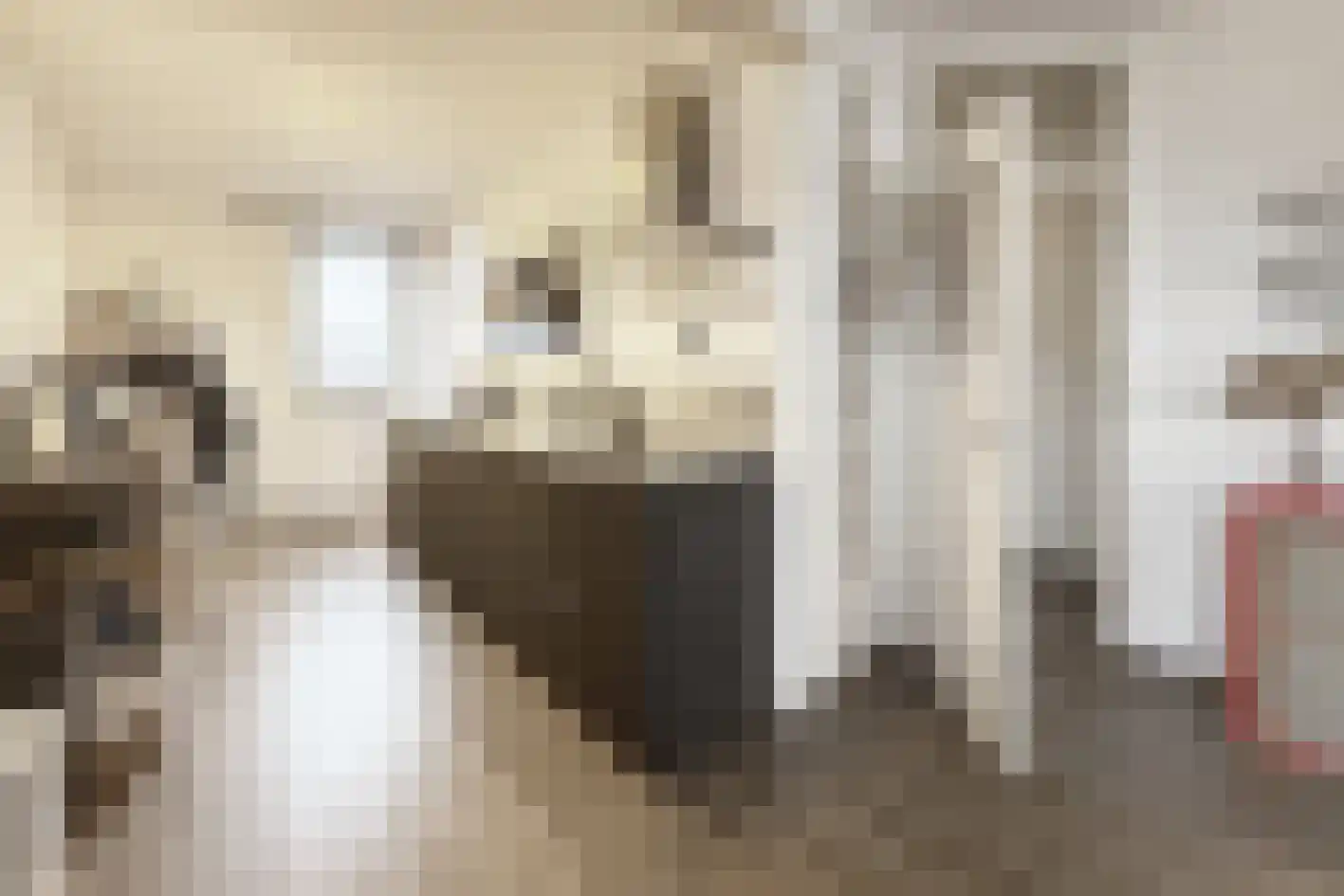 Stroveer 109 Rotterdam thumbnail 7