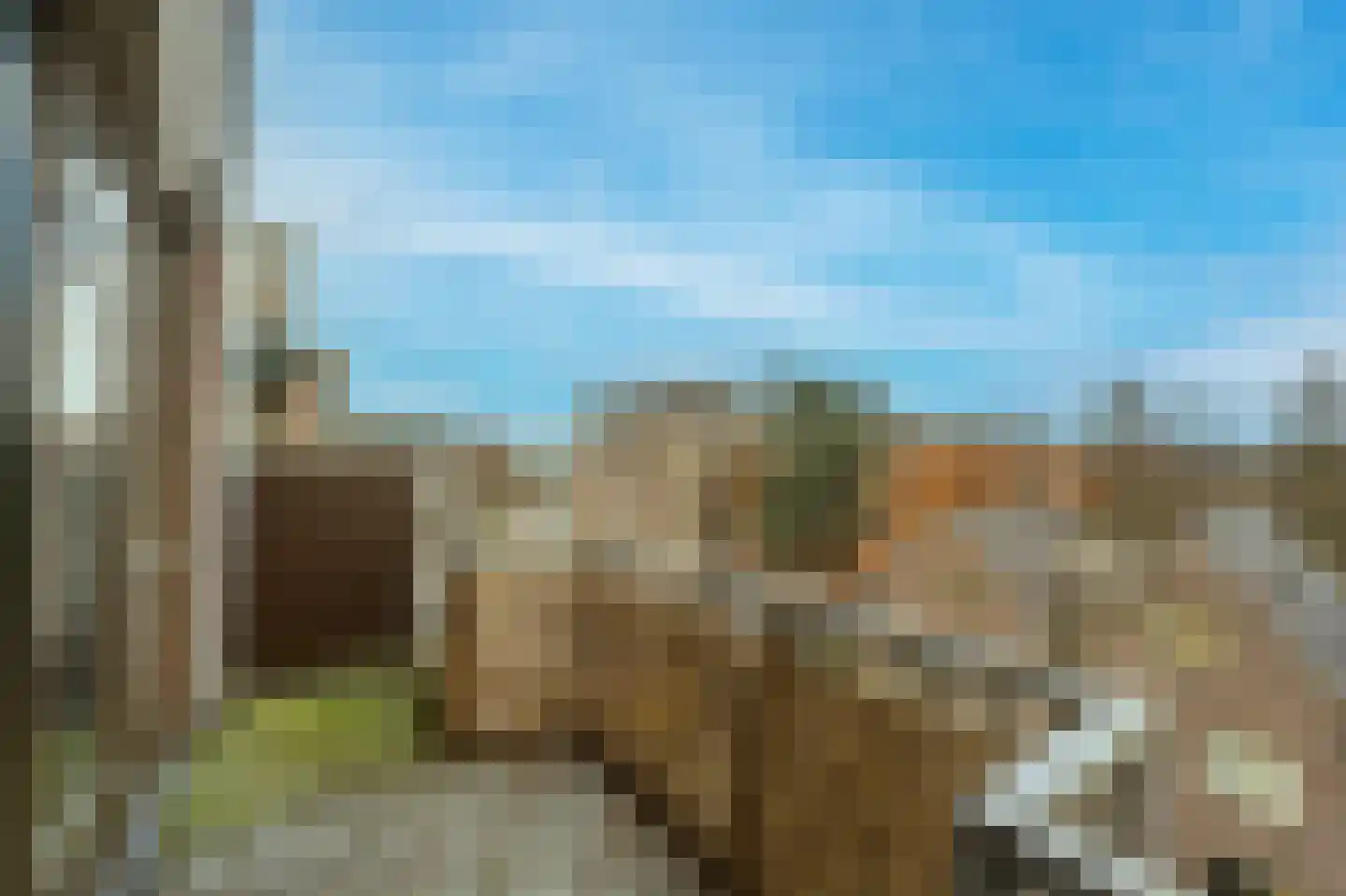 Stroveer 112 Rotterdam thumbnail 12