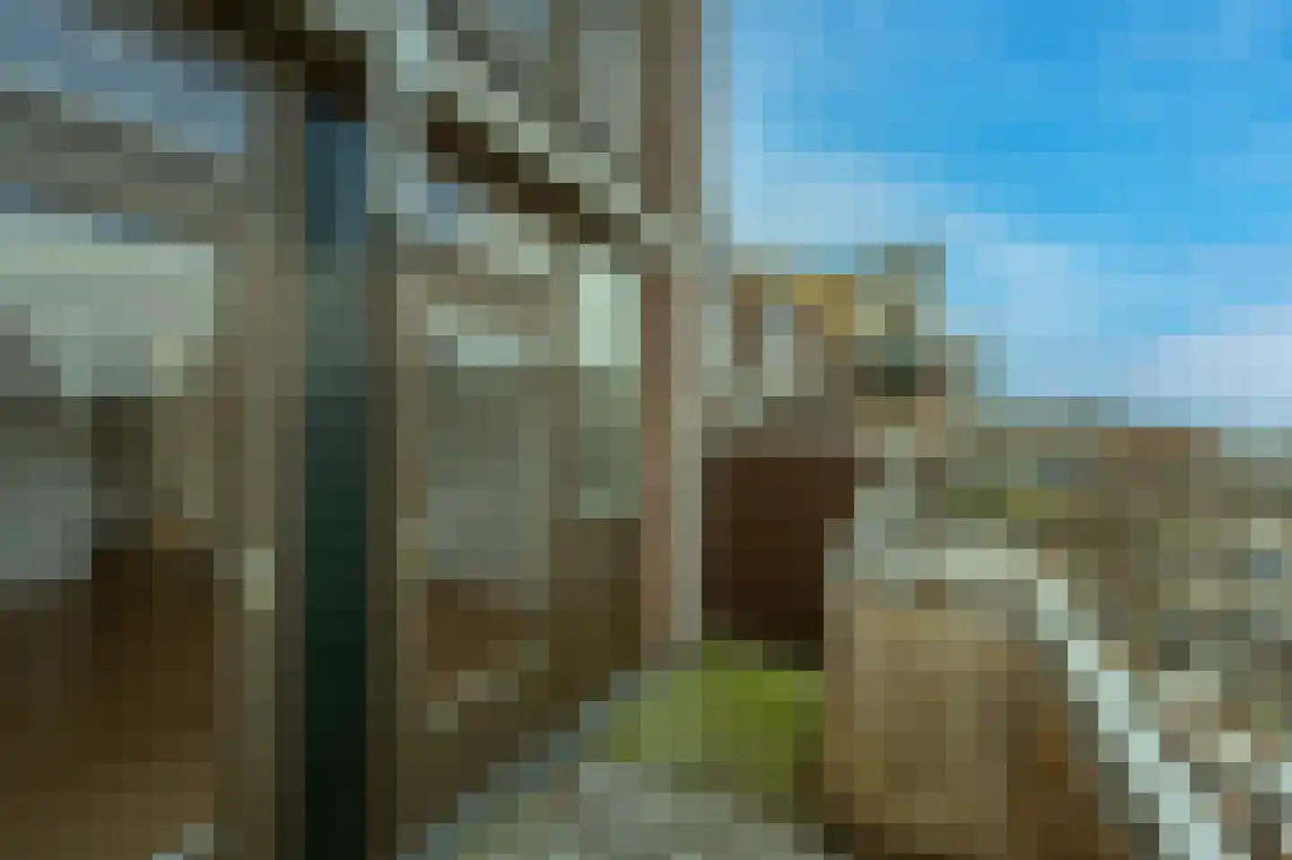 Stroveer 112 Rotterdam thumbnail 13