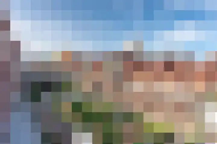 Stroveer 120 Rotterdam thumbnail 24