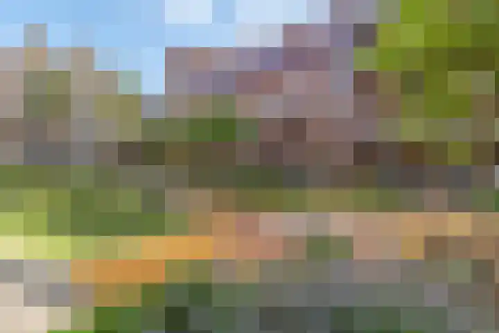 Stroveer 120 Rotterdam thumbnail 26
