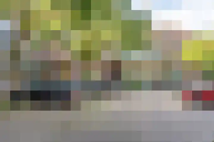 Stroveer 120 Rotterdam thumbnail 27