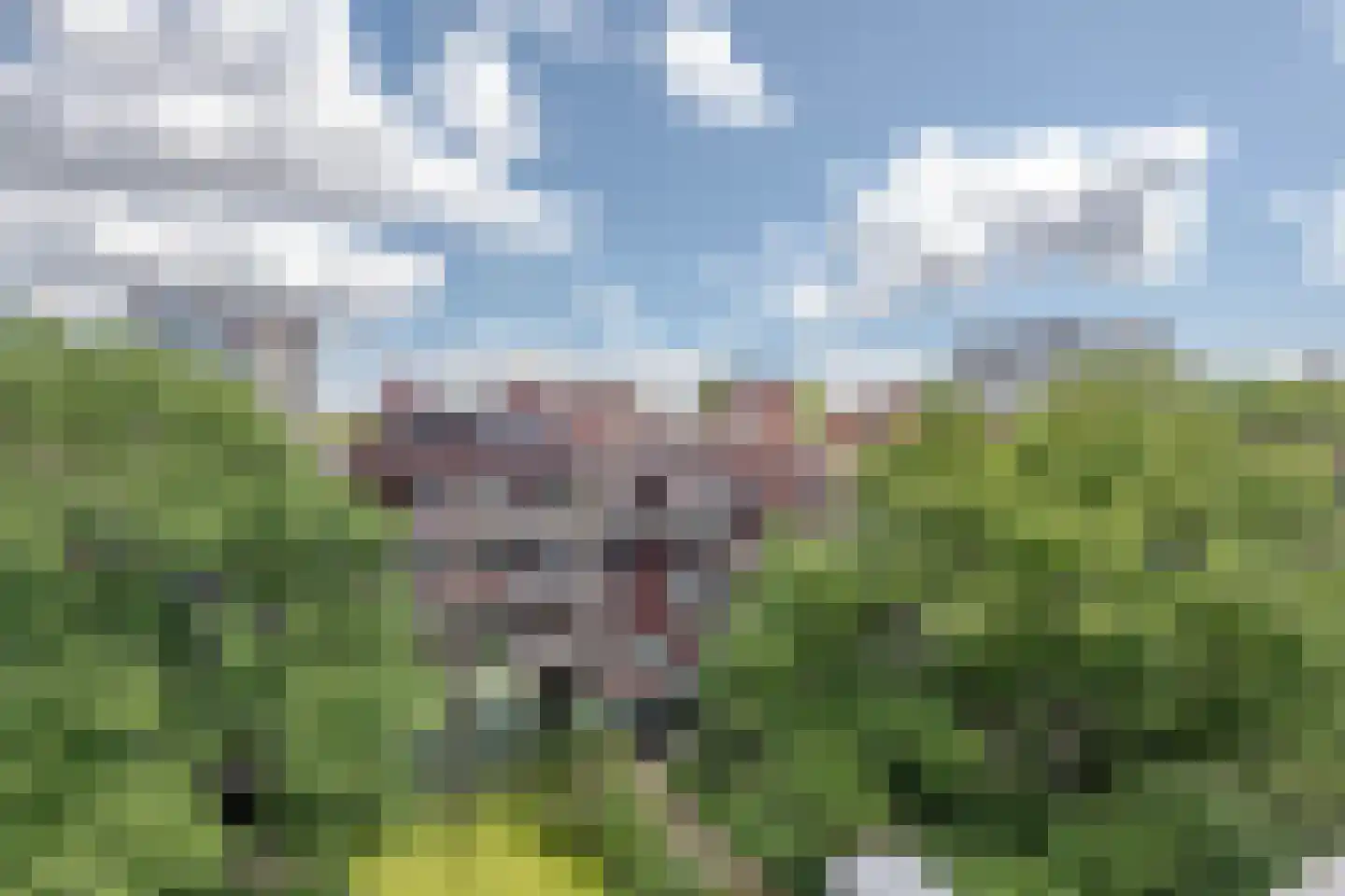 Stroveer 122 Rotterdam thumbnail 19