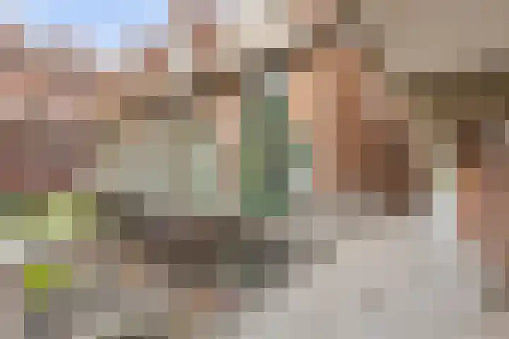 Stroveer 146 Rotterdam thumbnail 6